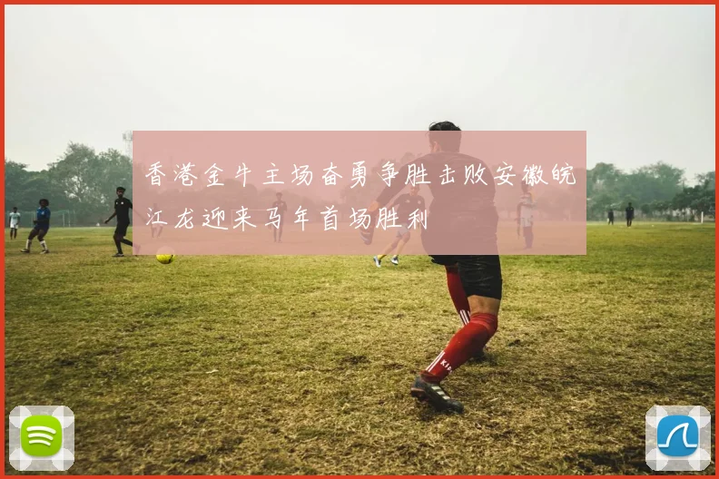 香港金牛主场奋勇争胜击败安徽皖江龙迎来马年首场胜利